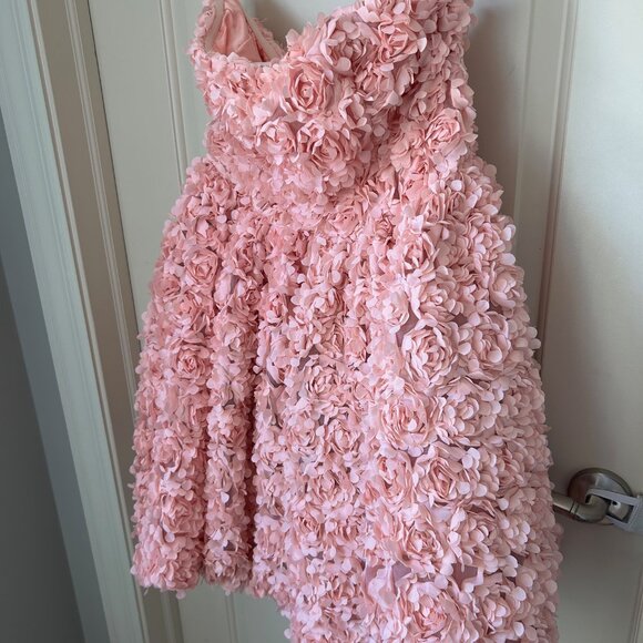 AKIRA - Floral Applique Dress - New! - Picture 2 of 7